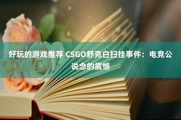 好玩的游戏推荐 CSGO舒克白扫挂事件：电竞公说念的震憾